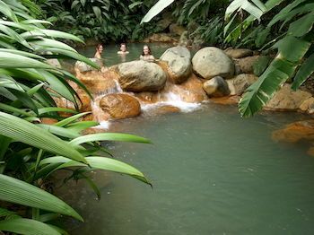 Natural Pool